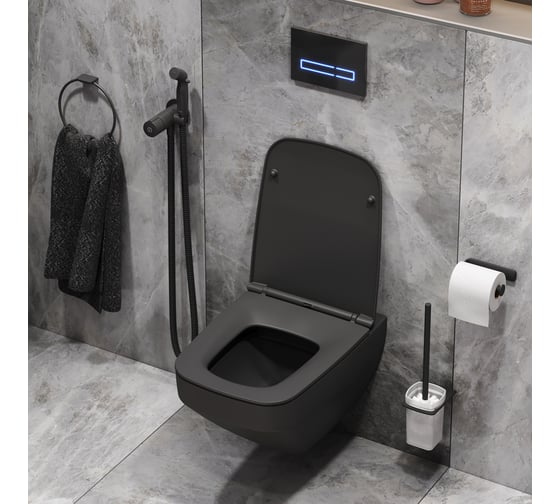 Подвесной комплект AM.PM Spirit черный CK50GG