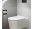 Унитаз подвесной Hansgrohe EluPura S 540, смыв AquaFall, белый 60193450 5