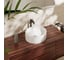 Раковина-чаша Hansgrohe Xuniva S 400x400 без перелива, белый 60164450 4