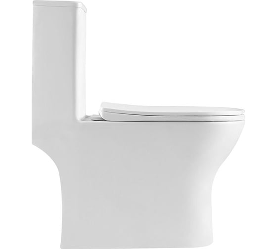Унитаз-моноблок BelBagno LOUNGE с сиденьем дюропласт soft close, P-trap BB8618CPR-MN/SC