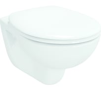 Подвесной унитаз Vitra Arkitekt 6107B003-0075