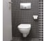 Подвесной унитаз Vitra Arkitekt 6107B003-0075 3