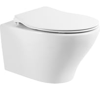 Подвесной безободковый унитаз BelBagno ACQUA BB340CHR