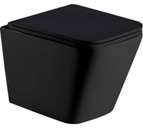 Подвесной унитаз WeltWasser WW GELBACH черный матовый 004 MT-BL 10000003748