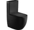 Унитаз-компакт WeltWasser WW MERZBACH черный матовый 001 MT-BL 10000003724 1