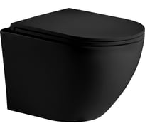 Подвесной унитаз WeltWasser WW MERZBACH черный матовый 004 MT-BL 10000003695
