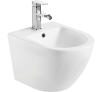 Подвесное биде WeltWasser WW MERZBACH белый матовый 005 MT-WT 10000003714