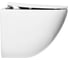 Подвесной безободковый унитаз BelBagno AMANDA с креплением BB051CHR 11