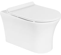 Подвесной безободковый унитаз BelBagno ANCONA BB1224CHR-SM