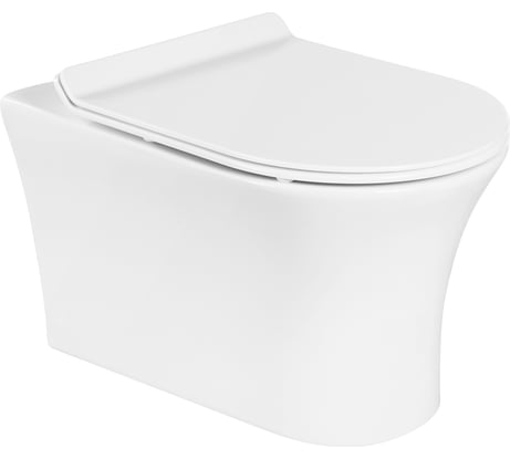 Подвесной безободковый унитаз BelBagno ANCONA BB1224CHR-SM