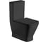 Унитаз-компакт WeltWasser WW ROTBACH черный матовый 001 MT-BL 10000003793 1