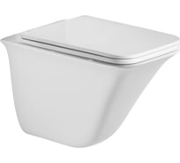 Подвесной унитаз WeltWasser WW ROTBACH белый матовый 004 MT-WT 10000003702