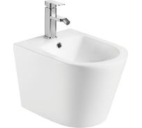 Подвесное биде WeltWasser WW SALZBACH белый матовый 005 MT-WT 10000003769