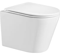 Подвесной унитаз WeltWasser WW SALZBACH белый глянец 004 GL-WT 10000003666