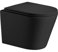Подвесной унитаз WeltWasser WW SALZBACH черный матовый 004 MT-BL 10000003700
