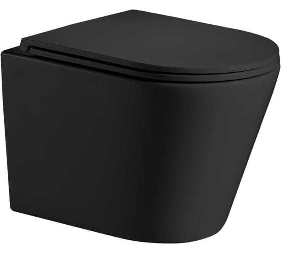 Подвесной унитаз WeltWasser WW SALZBACH черный матовый 004 MT-BL 10000003700
