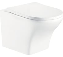Подвесной унитаз WeltWasser WW ODENBACH белый матовый 004 MT-WT 10000003703