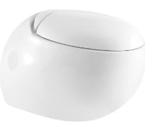Подвесной унитаз WeltWasser WW JECKENBACH белый глянец 004 GL-WT 10000003809