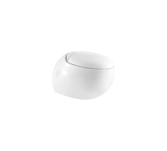 Подвесной унитаз WeltWasser WW JECKENBACH белый глянец 004 GL-WT 10000003809