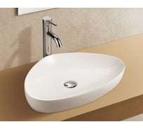 Накладная раковина WeltWasser WW ELBACH 590х410х100 1131 10000003849