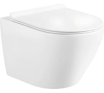 Унитаз подвесной Selena Circulo б/о в/к микролифт C001WG 123-0218