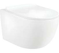 Унитаз подвесной Selena Esfera б/о в/к микролифт E001WG 123-0223