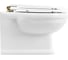 Чаша подвесного унитаза BelBagno BOHEME BB115CH 9