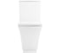 Чаша безободкового унитаза BelBagno REGINA P-trap BB104CP 5