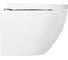 Подвесной безободковый унитаз BelBagno SFERA-R P-trap BB046CHR 4