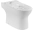 Чаша безободкового унитаза BelBagno STEAM P-trap BB130CPR 1