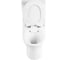 Чаша безободкового унитаза BelBagno STEAM P-trap BB130CPR 8
