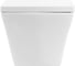 Чаша подвесного унитаза BelBagno REGINA P-trap BB104CH 4