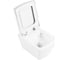 Чаша подвесного унитаза BelBagno REGINA P-trap BB104CH 6