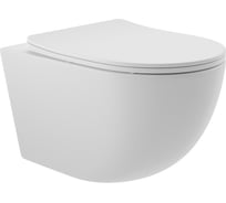 Унитаз подвесной AQUEDUTO AQD OVO 525х360 мм, безободковый, сиденье с микролифтом, белый матовый OVO0120
