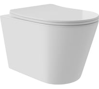 Подвесной унитаз AQUEDUTO AQD ESPIRAL 520х365 безободковый, Tornado, сиденье с микролифтом, белый глянцевый CONT0210