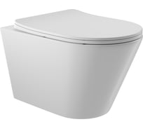 Подвесной унитаз AQUEDUTO AQD ESPIRAL 525х360 безободковый, сиденье с микролифтом, белый глянцевый CON0110