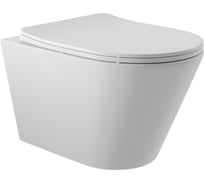 Подвесной унитаз AQUEDUTO AQD ESPIRAL 525х360 безободковый, сиденье с микролифтом, белый матовый CON0120