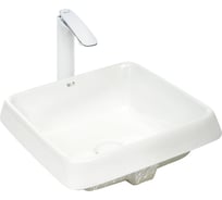 Врезная раковина WeltWasser WW DEILBACH 6042 440х440х185 10000004610