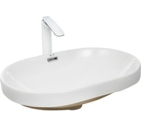 Врезная раковина WeltWasser WW DEILBACH 6039 605х405х180 10000004608