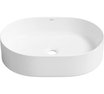 Накладная раковина для ванной комнаты Wellsee Belle Spa, ширина 50 см 335702000