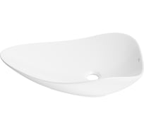 Накладная раковина для ванной комнаты Wellsee Nexus Flex, ширина умывальника 60 см, цвет глянцевый белый 323403000