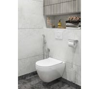 Унитаз Gesso Деймос HOME De Luxe с сиденьем микролифт, комплект крепежей для подвесного унитаза 9 021 118