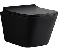 Подвесной безободковый унитаз Azario Teramo с сидением микролифт AZ-0052 AZ-052E-R-MB 57971