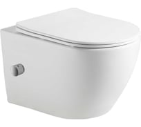 Унитаз подвесной безободковый HOLLER WALL BIDET, 530х360х350мм, сиденье дюропласт, микролифт, белый, со смесителем и функцией биде 329126