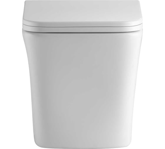 Унитаз подвесной безободковый HOLLER VESSEL, 520х340х355мм, сиденье дюропласт, микролифт, белый 334573