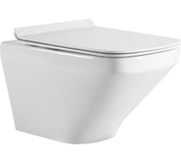 Подвесной безободковый унитаз HOLLER TOR (540х370х350 мм, сиденье дюропласт, микролифт) белый 315708