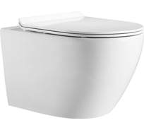 Подвесной безободковый унитаз HOLLER WALL (530х360х350 мм, сиденье дюропласт, микролифт) белый 315709