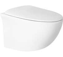 Подвесной безободковый унитаз HOLLER SPACE (520х370х360 мм, сиденье дюропласт, микролифт) белый 328196