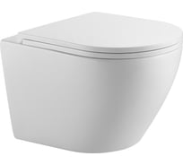 Подвесной безободковый унитаз HOLLER POINT (485х370х365 мм, сиденье дюропласт, микролифт) белый 315706