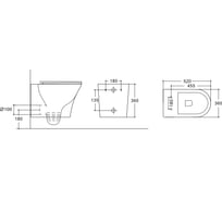 Подвесной безободковый унитаз HOLLER BOAT (520х360х360 мм, сиденье дюропласт, микролифт) белый 328619